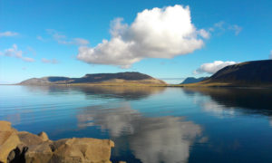 west Iceland still