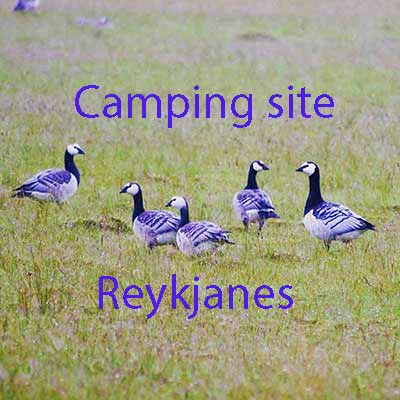 Camping in Reykjanes