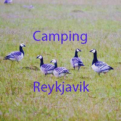 Camping in Reykjavik area