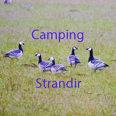 Camping in Strandir Iceland